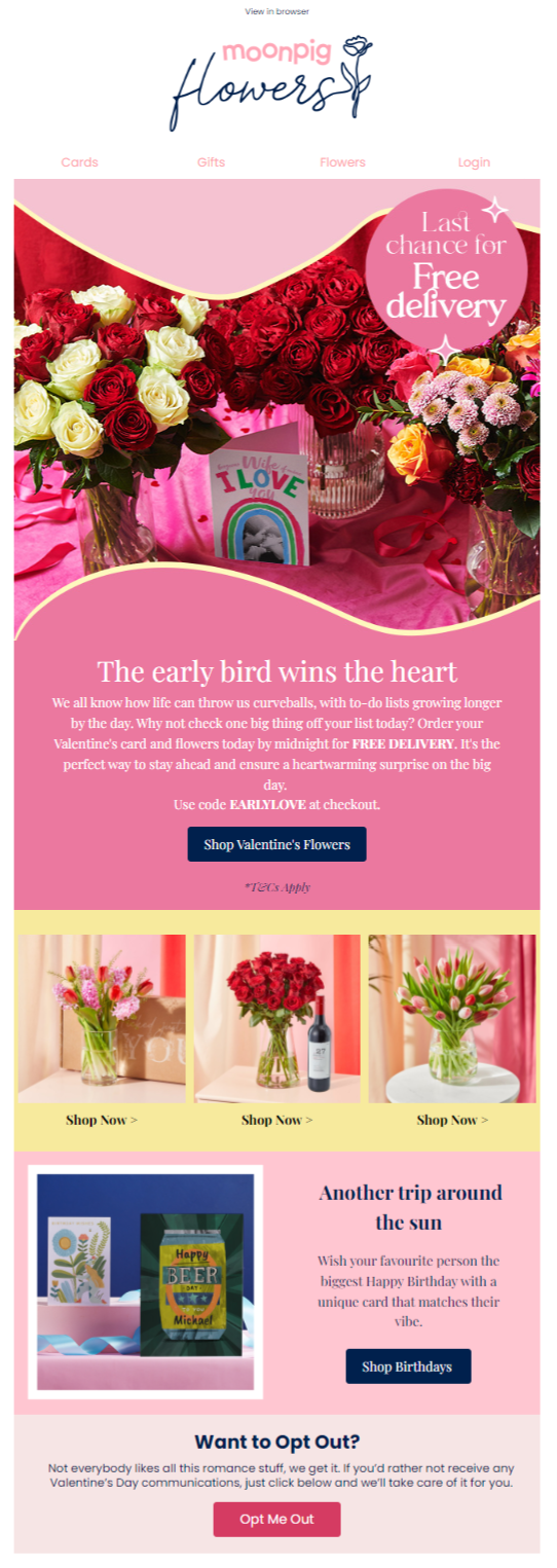 MoonPig's email of Valentine's Day promo. 